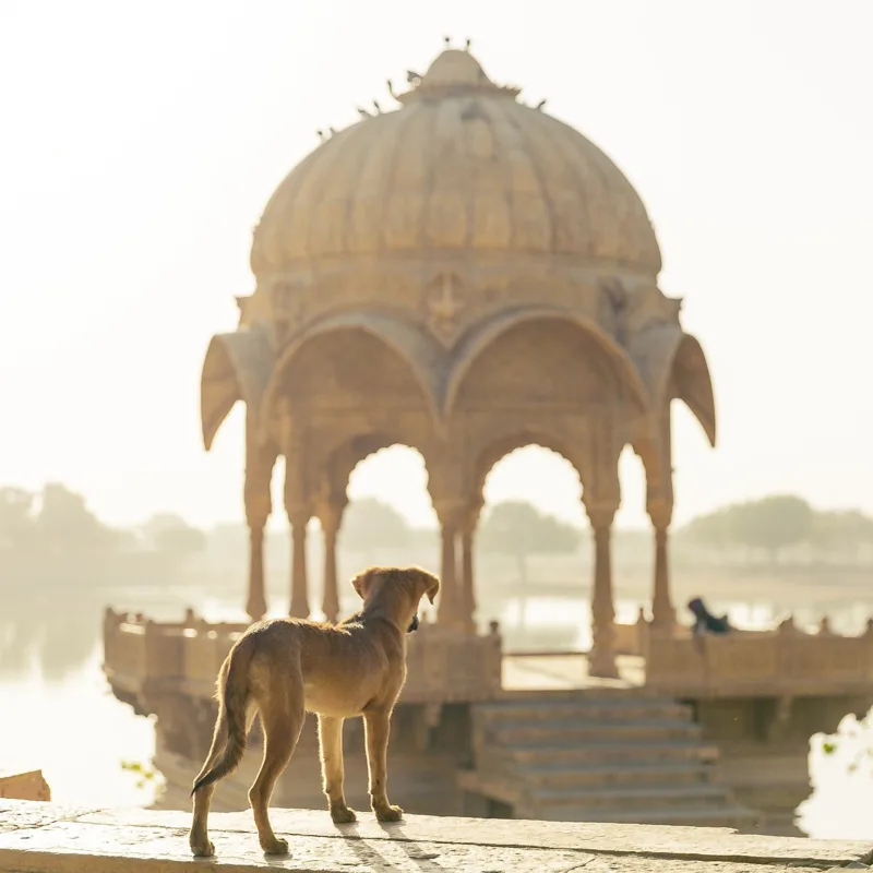 Episode 30 — Capítulo 30 - Introducción a la India