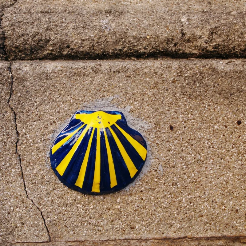 Episode 85 — Capítulo 85 - Conversación en el Camino de Santiago 🎙️ - Galicia 🐮, licor café 🥃 y orquestas 🥳 - C1 C2 - Español Real - Descubriendo España 19 🇪🇦