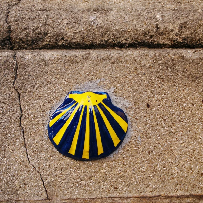 Episode 81 — Capítulo 81 - CAMINO DE SANTIAGO 🚶‍♂️‍➡️➡️ - Qué es, cómo hacerlo y CONSEJOS para recorrer el camino más famoso de España - Descubriendo España 15 🇪🇦